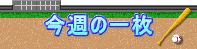 T̈ꖇ